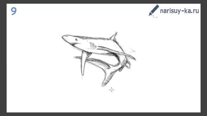 Как нарисовать акулу карандашом