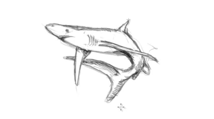 Как нарисовать акулу карандашом. Поэтапная прорисовка!