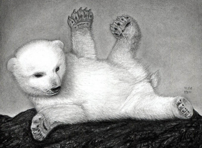 Как нарисовать белого медвежонка