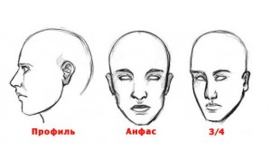 Эскиз головы человека с различных сторон