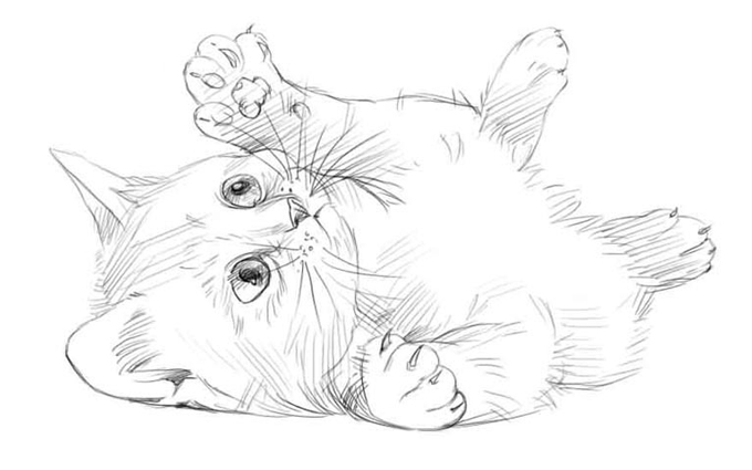 Как нарисовать котенка, рисуем карандашом поэтапно