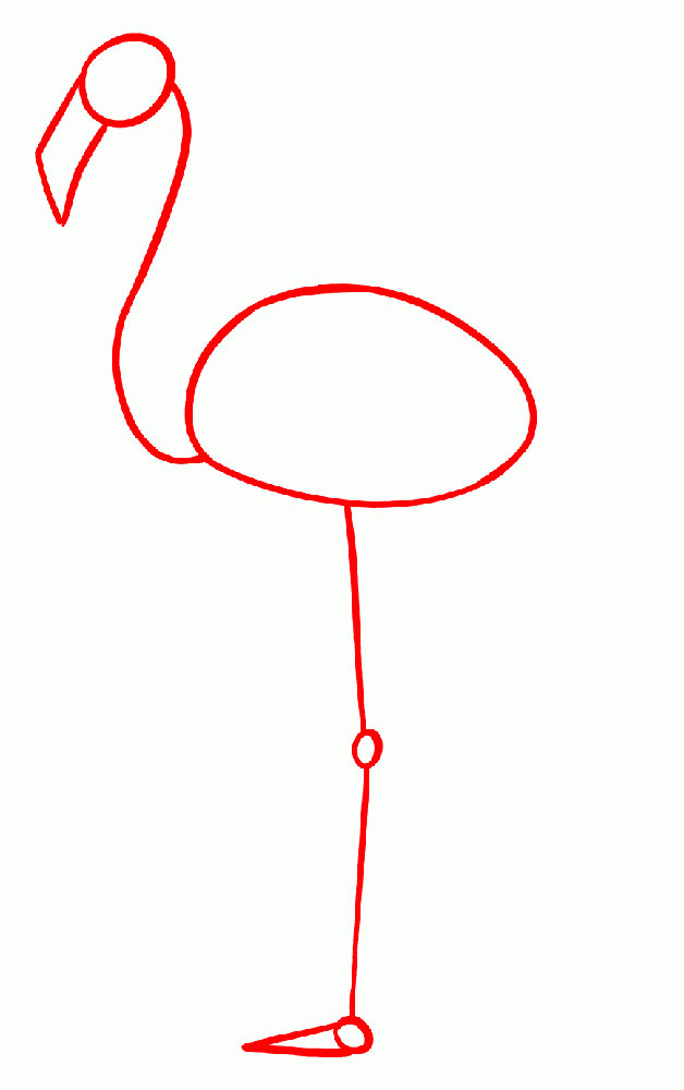 Рисуем основные линии Фламинго