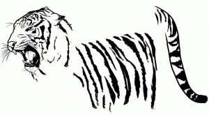 kak-narisovat-tigra-10