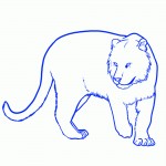 kak-narisovat-tigra-17