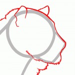 Рисуем контуры головы тигра