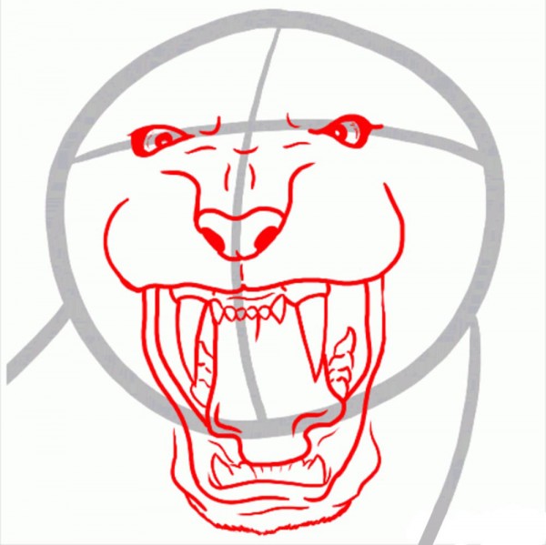 kak-narisovat-tigra-7
