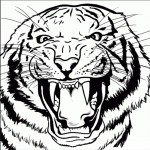 kak-narisovat-tigra-9