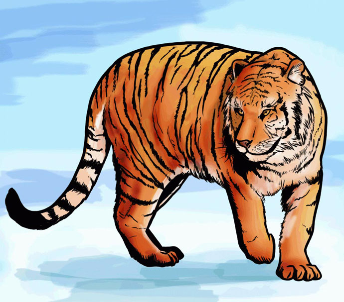 Учимся как нарисовать тигра
